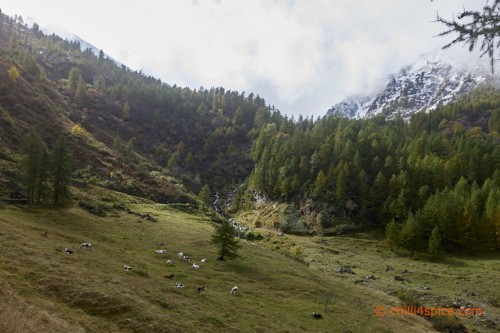 Colle della Finestre