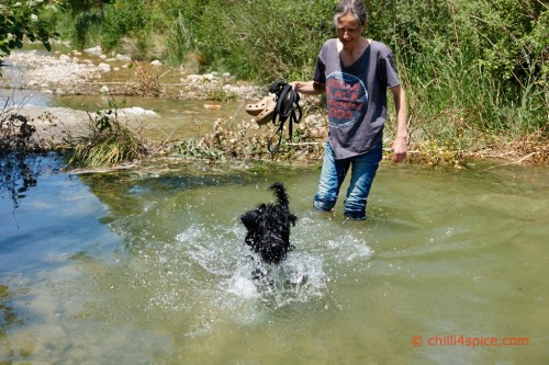 Provence Juni 15 0201